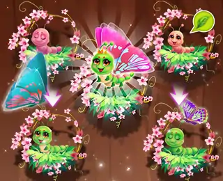 蝴蝶姑娘之花花世界