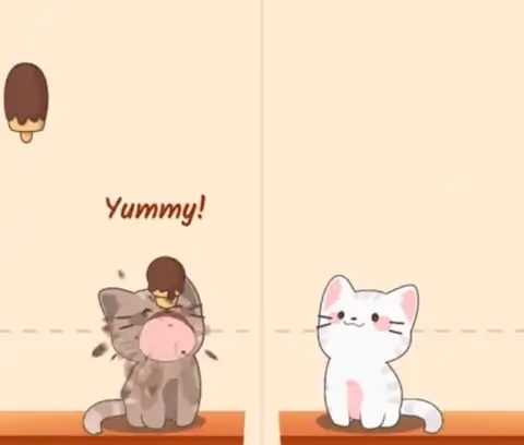 猫咪二重奏