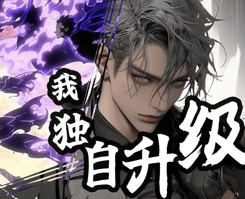 我独自升级