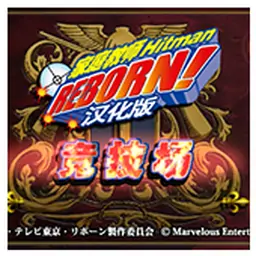 家庭教师HitmanReborn！竞技场（PSP游戏）