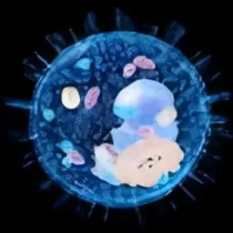 生命进化中文版