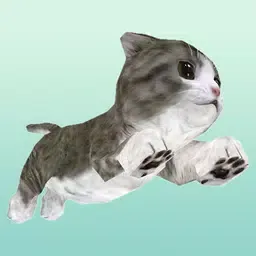 猫破折号