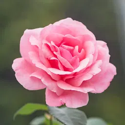 壁纸涂料：按编号着色。