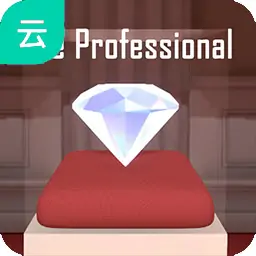 江洋大盗模拟器（云玩）