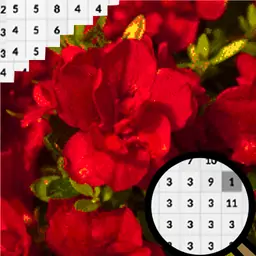 杜鹃花颜色数字像素艺术