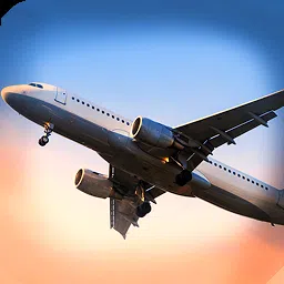 飞机飞行员模拟器3D