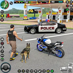 城市警车追逐3D