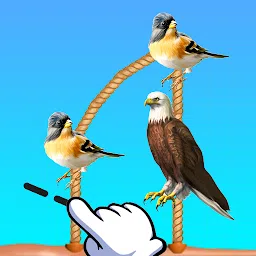 鸟和绳子：切割