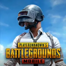 PUBGM(国际服)