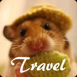 旅行仓鼠