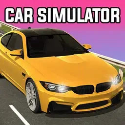 印度汽车司机3D