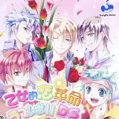 少女的恋爱革命（NDS游戏）