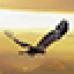 FREEDOM: Hunt Kill Fly