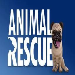 Animal Rescue