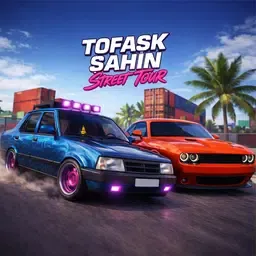 大师驾驶：街道之旅