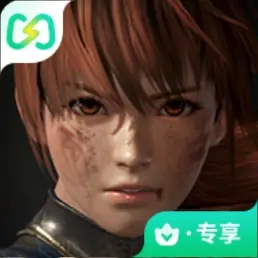 死或生6（闪迹云游戏）