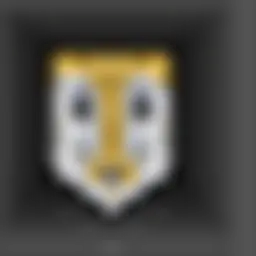 icon