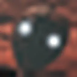 icon