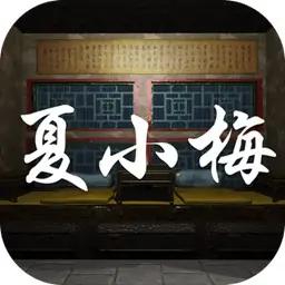 孙美琪疑案-夏小梅