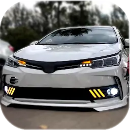 花冠驾驶和比赛