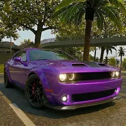 快速驾驶模拟器