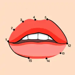 点2点连接1000个点