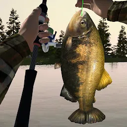 终极钓鱼模拟3D-钩钓