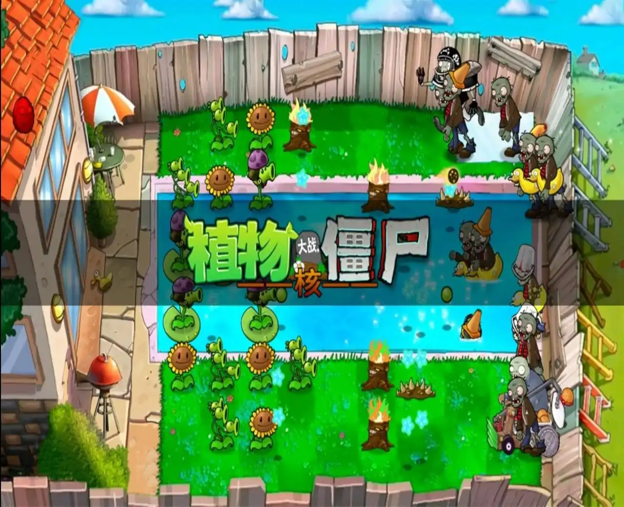 pvz核版