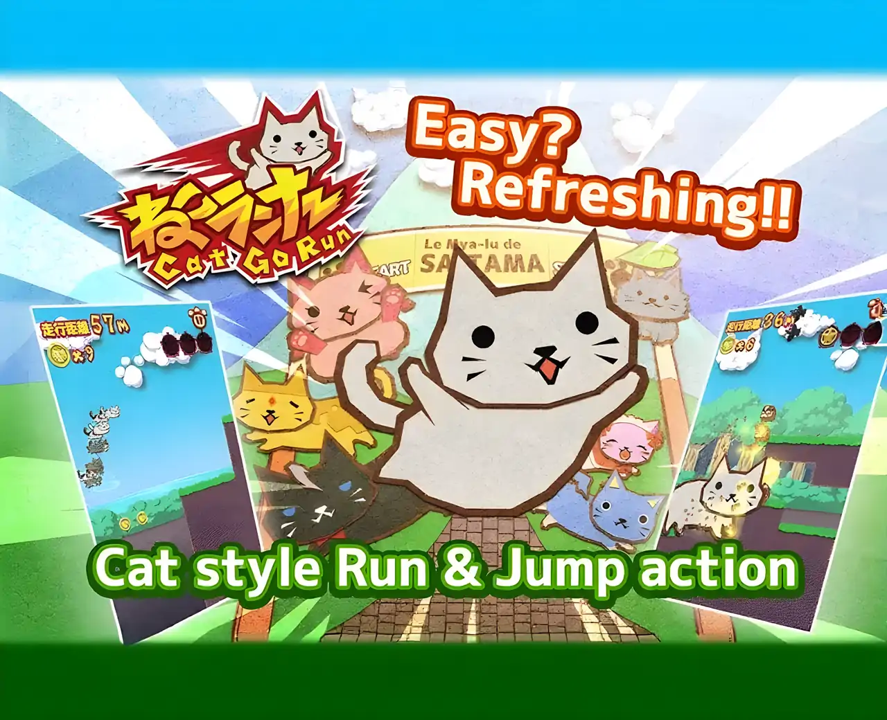 猫跑起来