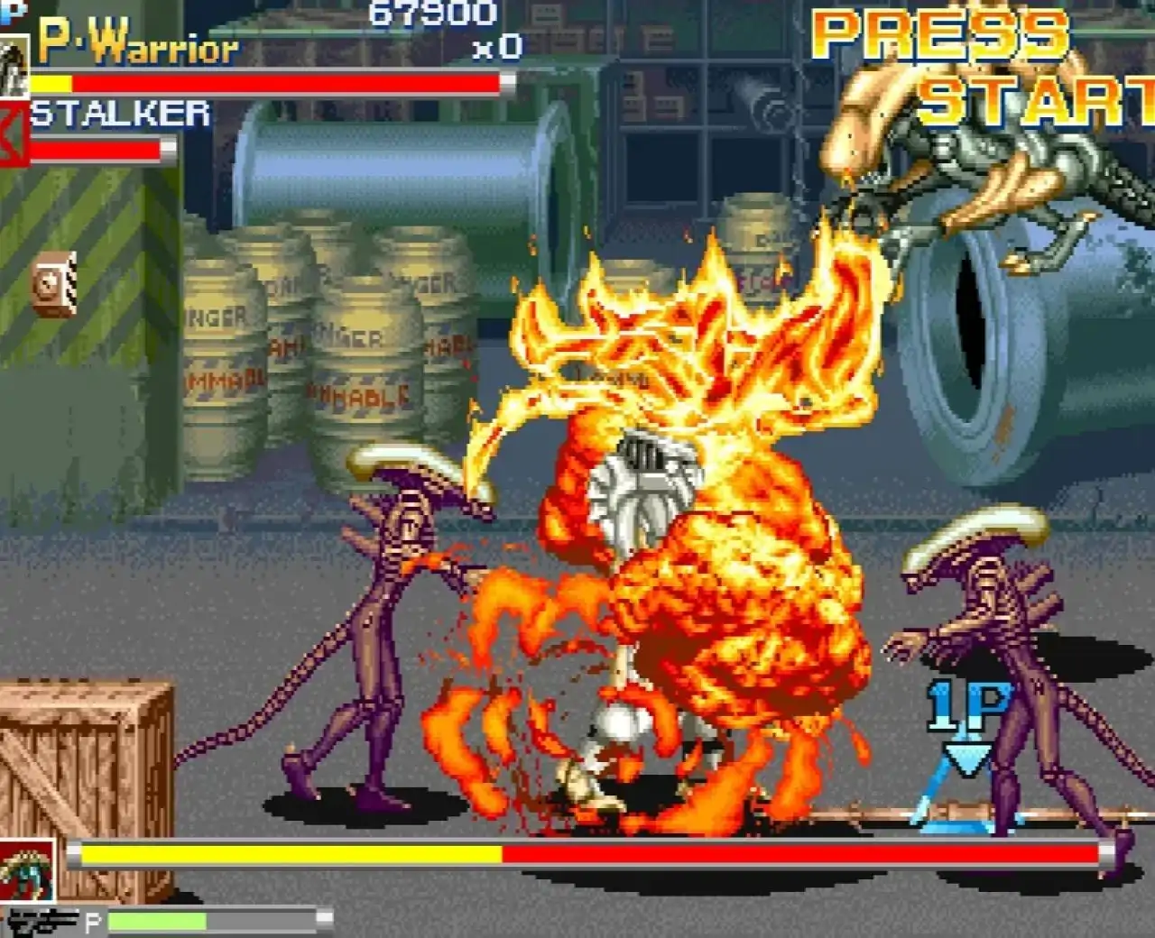 异形大战铁血战士