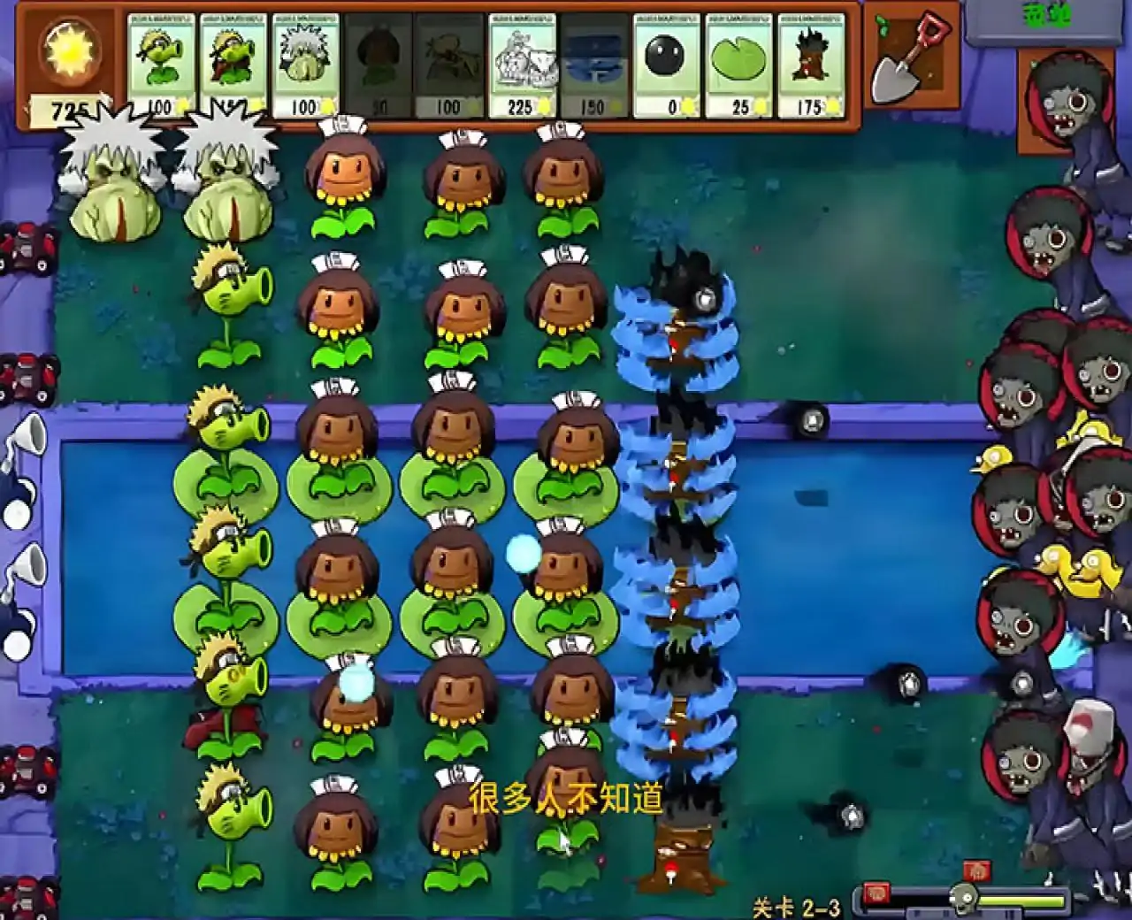 植物大战僵尸 火影版（云玩）