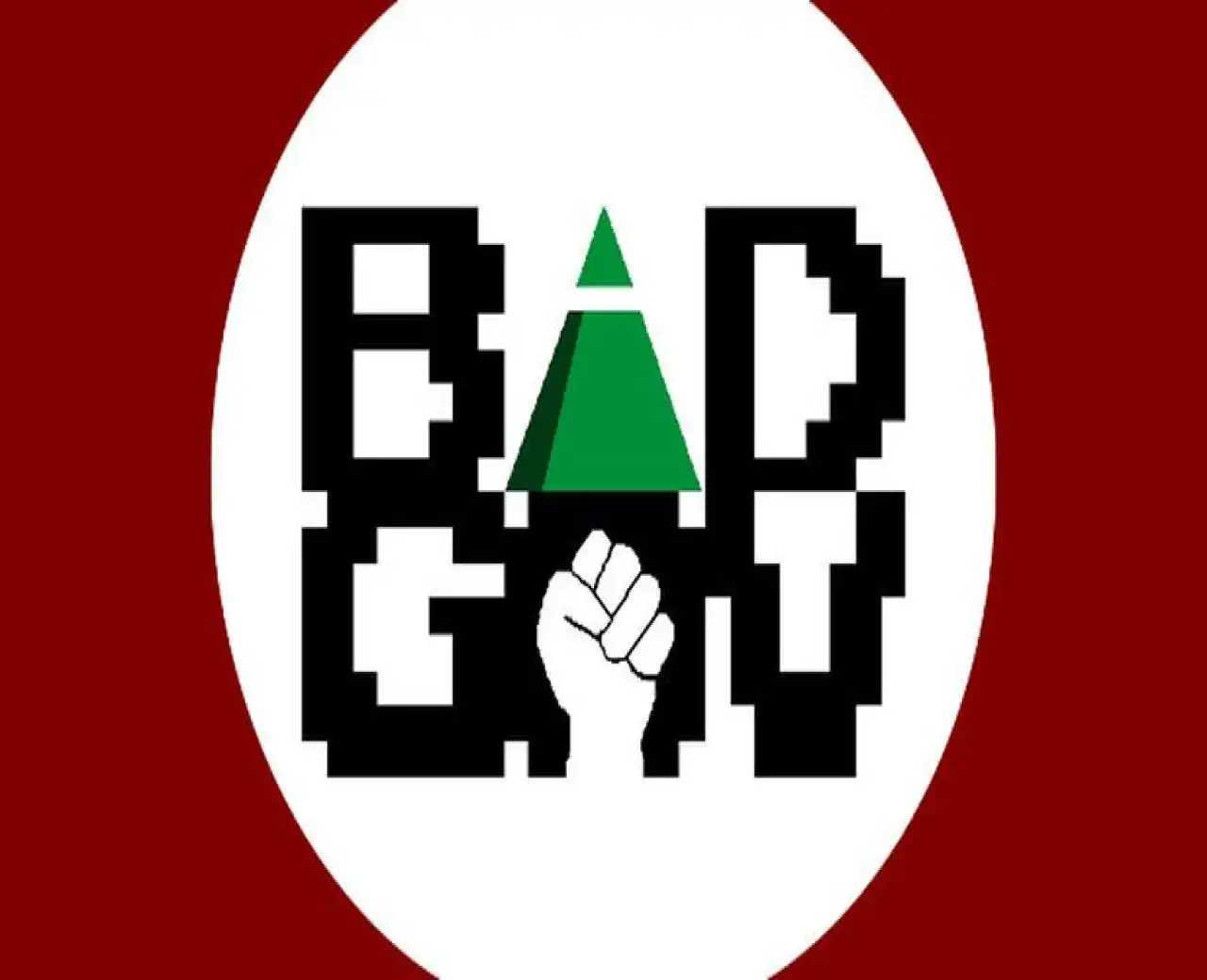 Bad Government