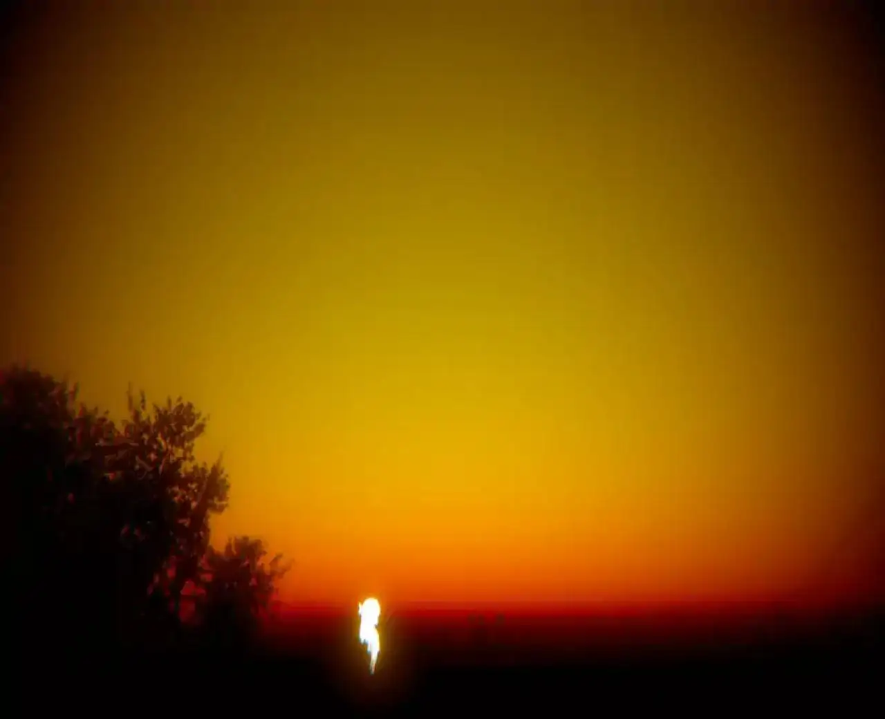 Last Summer Iteration