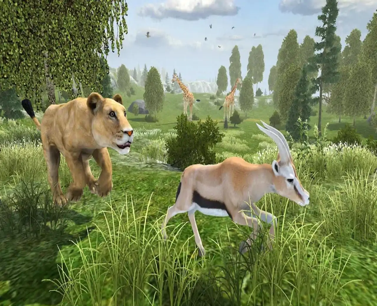 野生母狮模拟器
