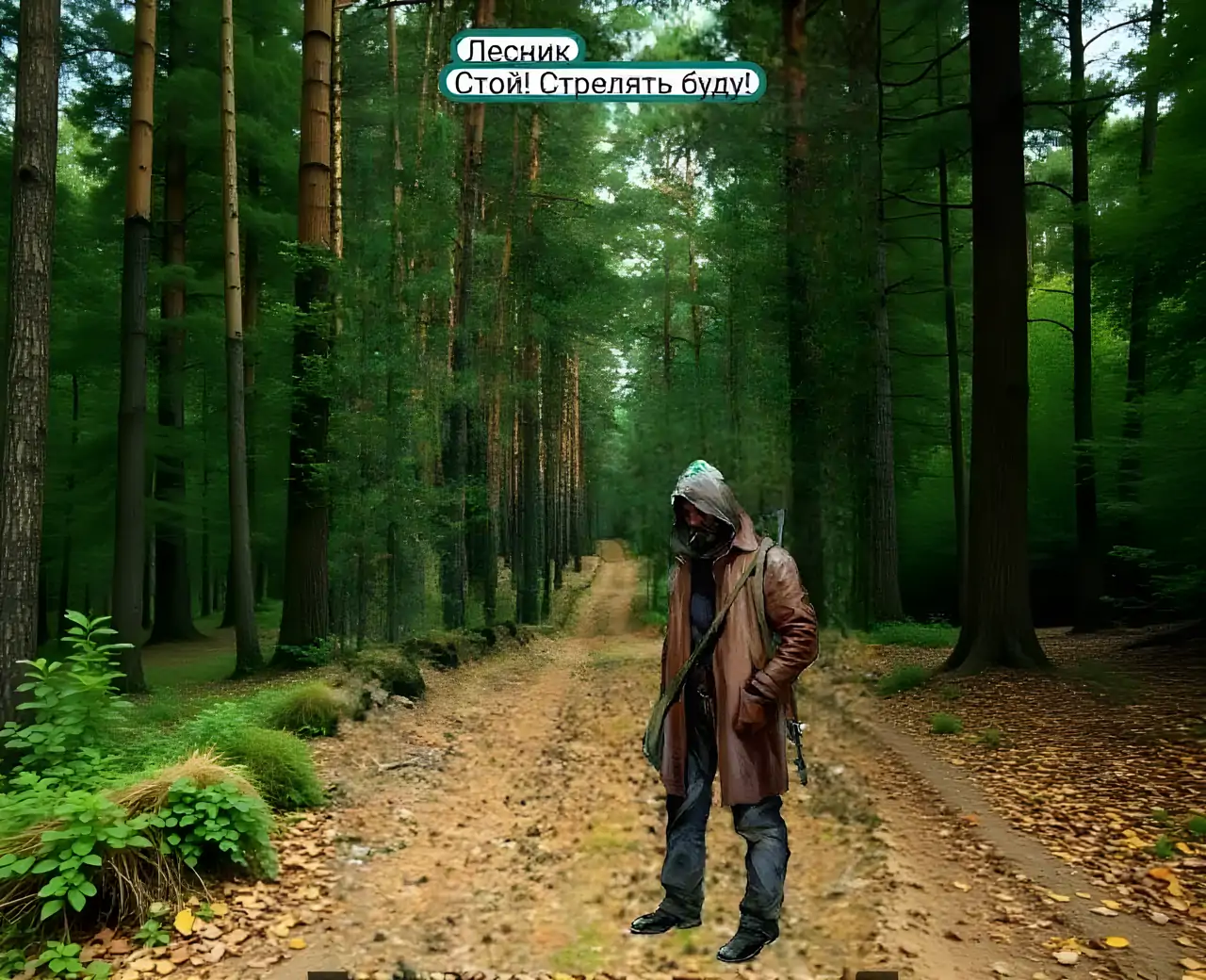 世界最后的日子|短信至