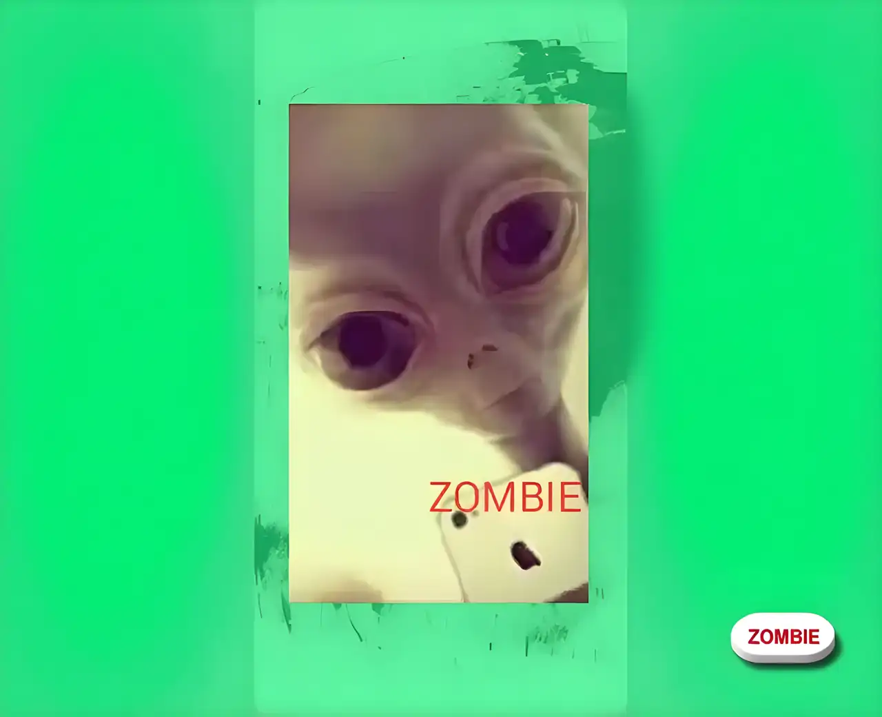 飞扬的僵尸