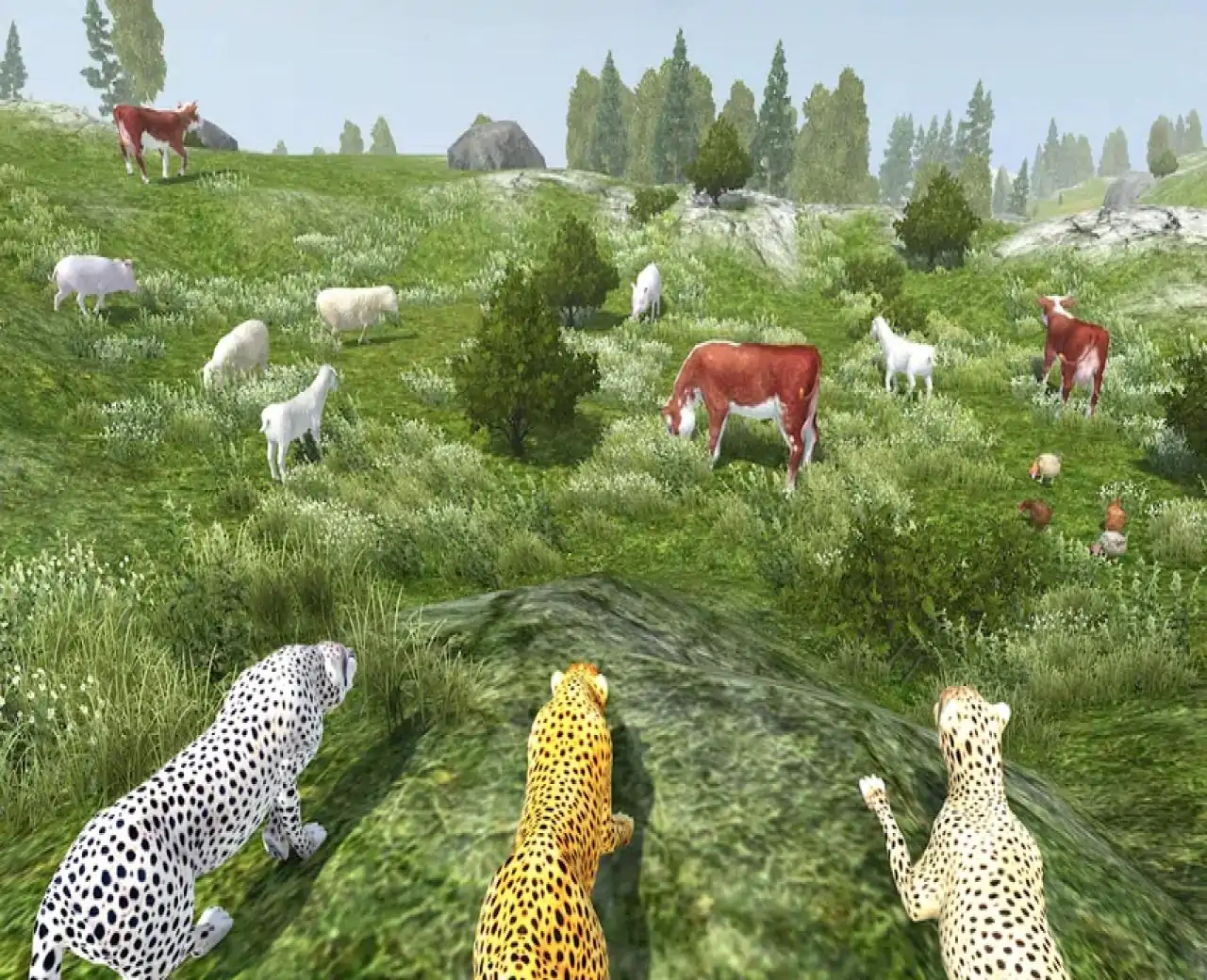 野生猎豹模拟器