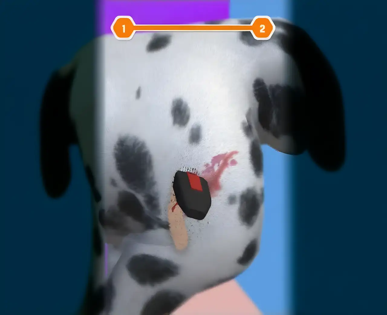 宠物救援