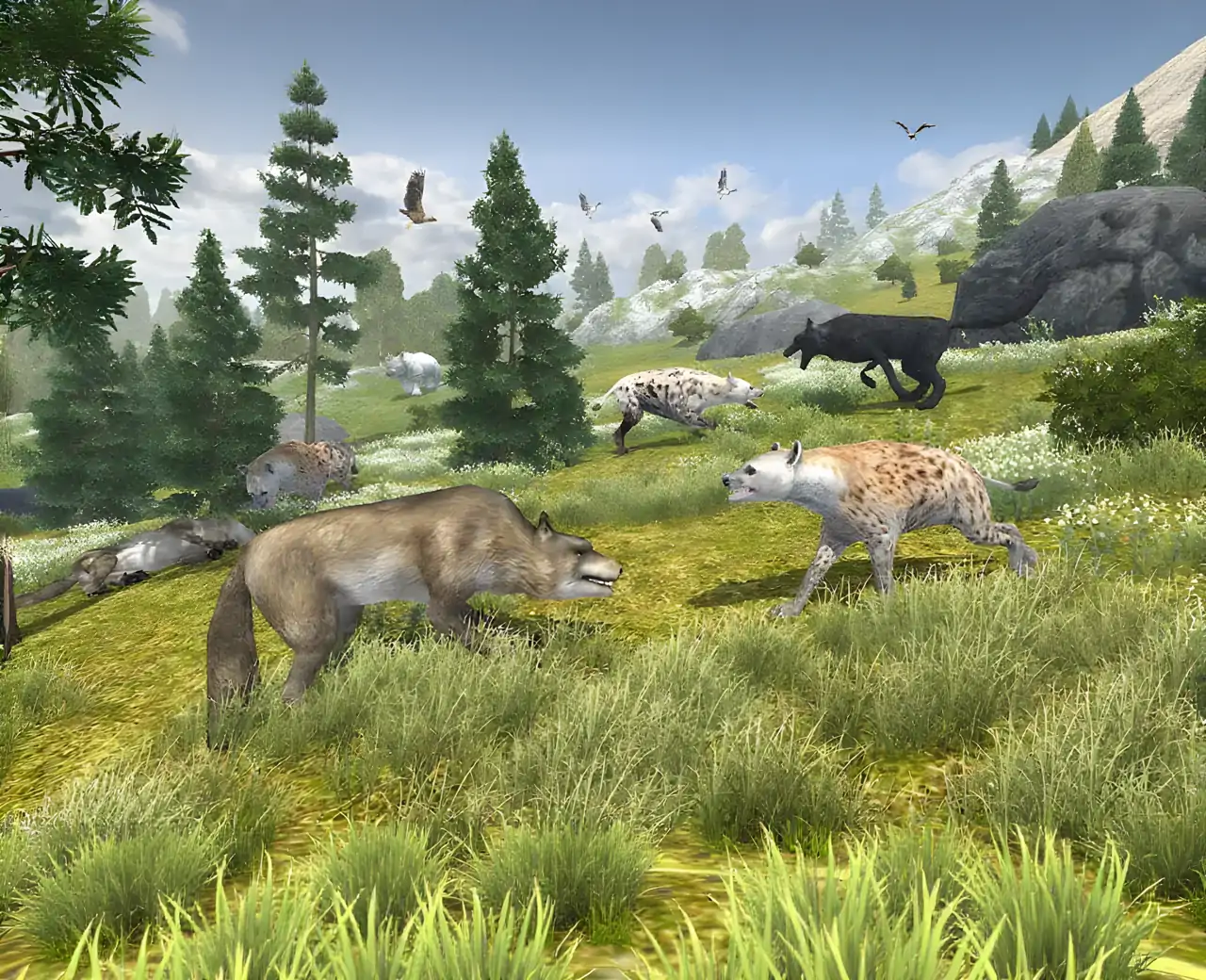 野生生活：狼家族