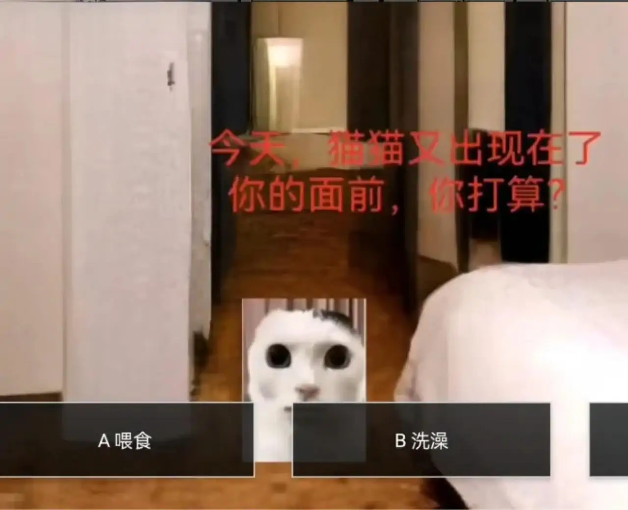 猫猫惊魂夜