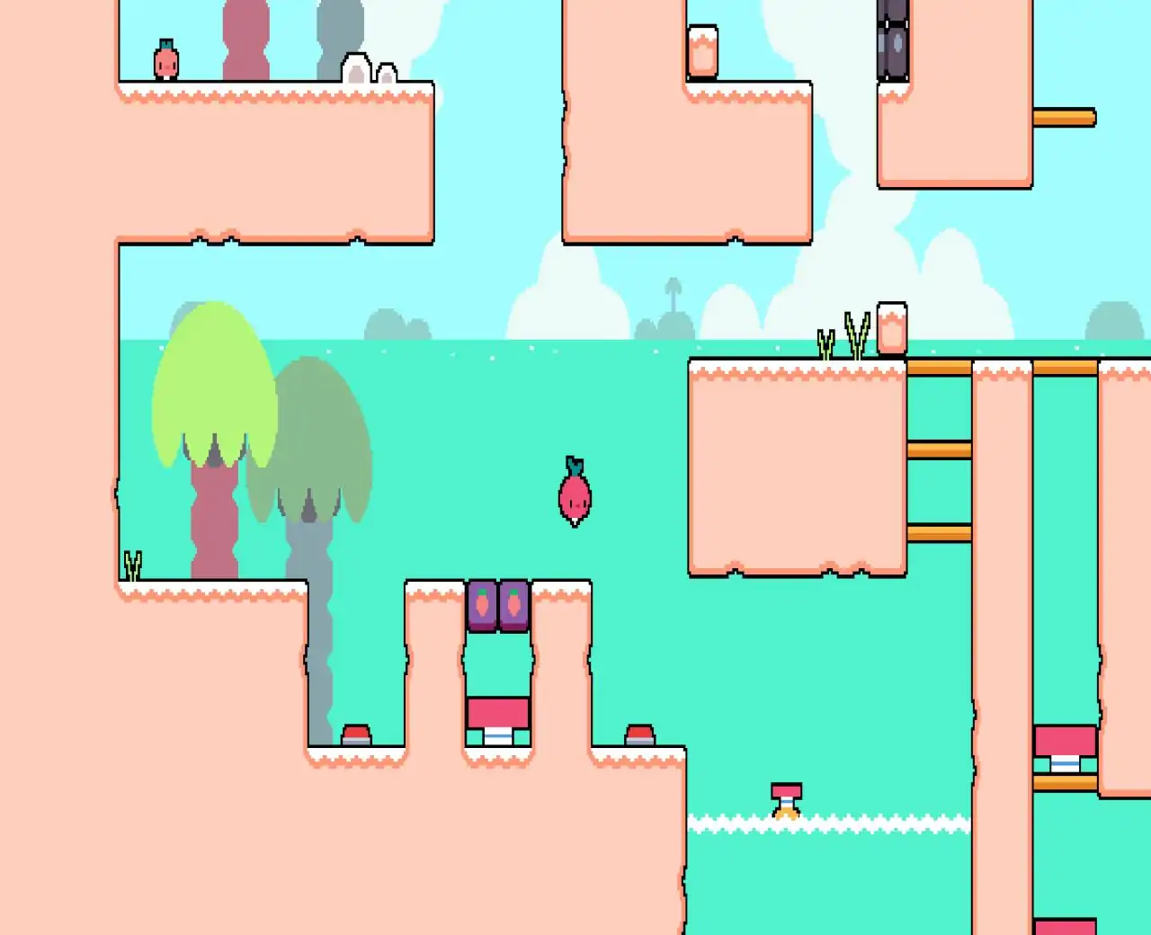 萝卜爸爸的每一天