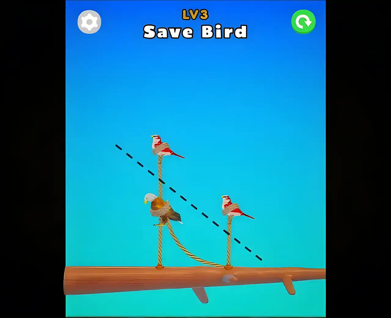 鸟和绳子：切割