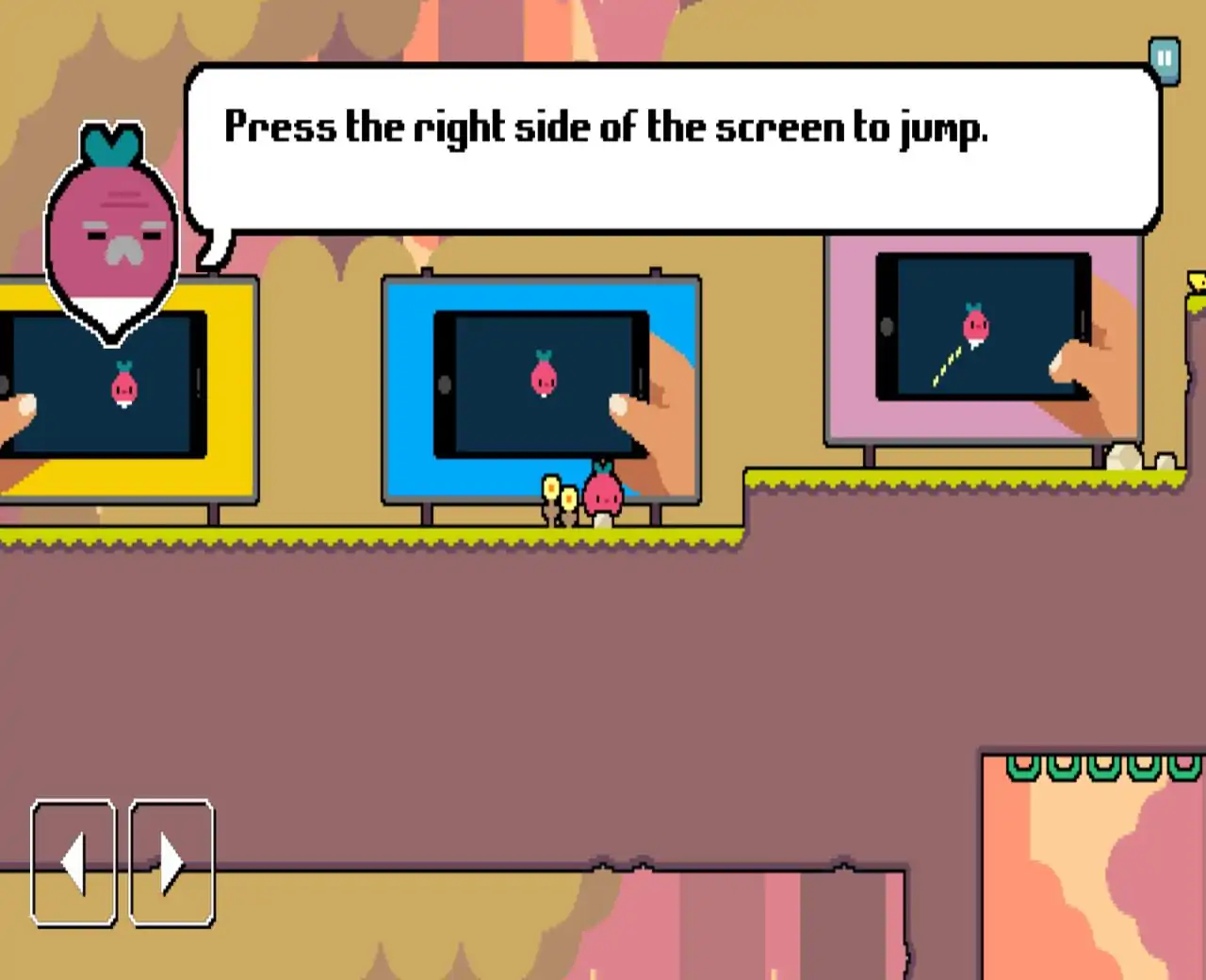 萝卜爸爸的每一天