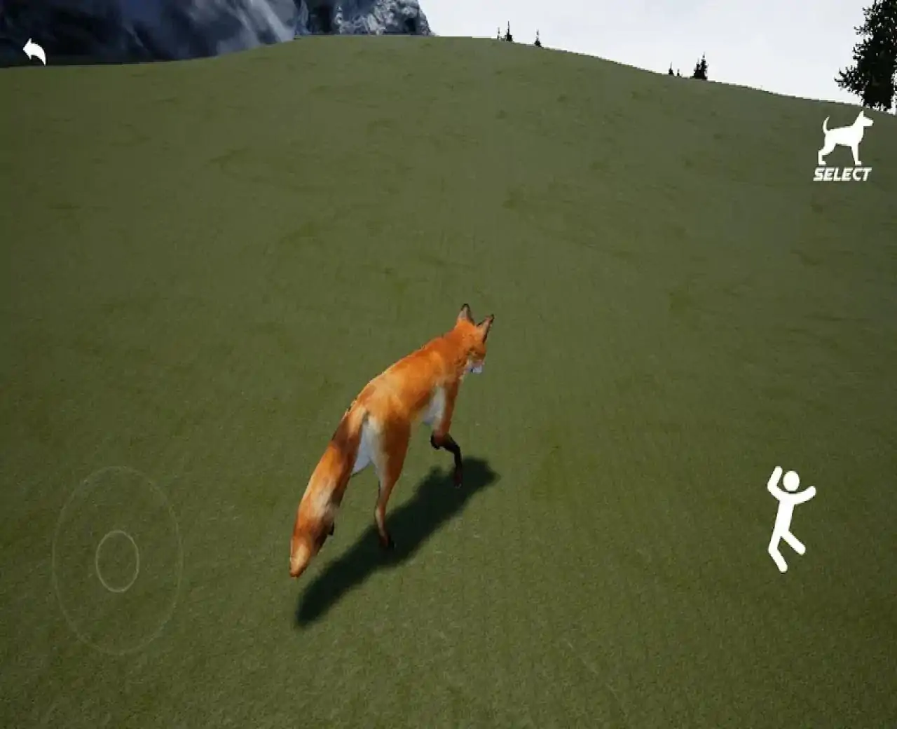 动物世界:狐狸模拟器