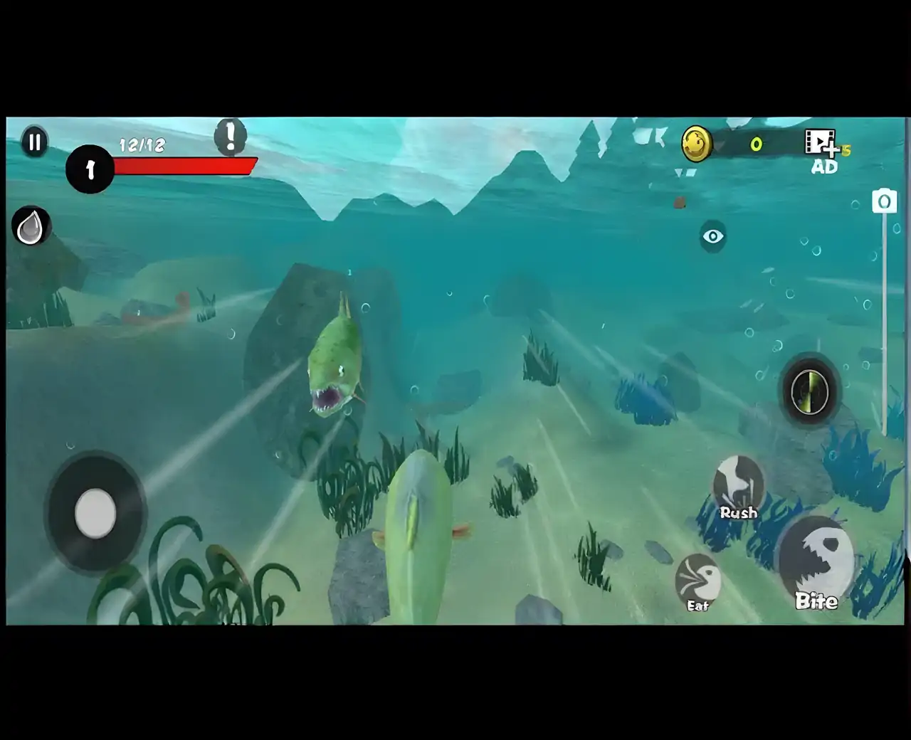 鱼类的生长和进化