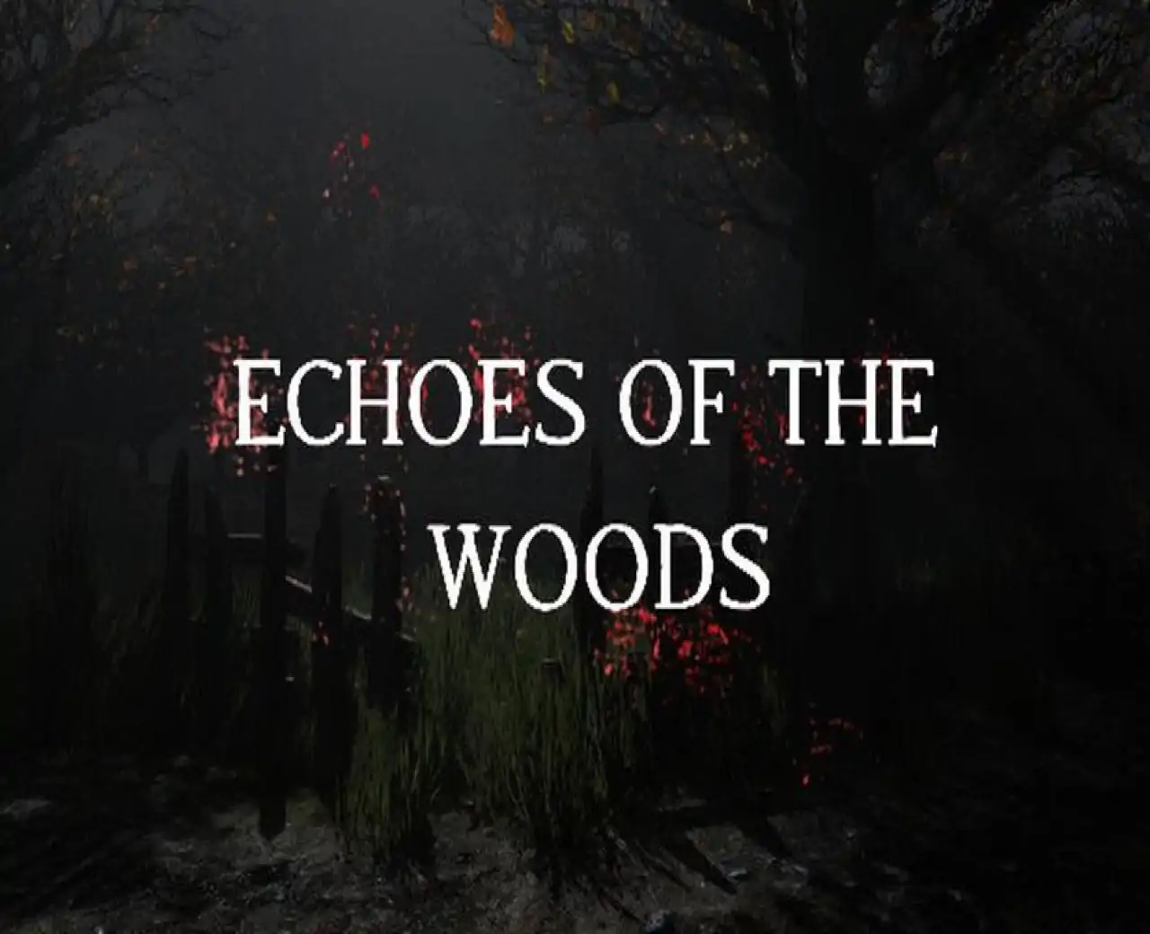 Echoes of the Woods