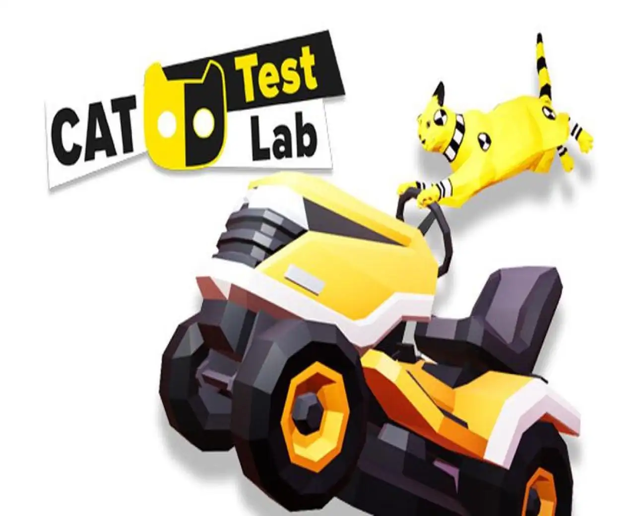 Never Experiment On Cats!