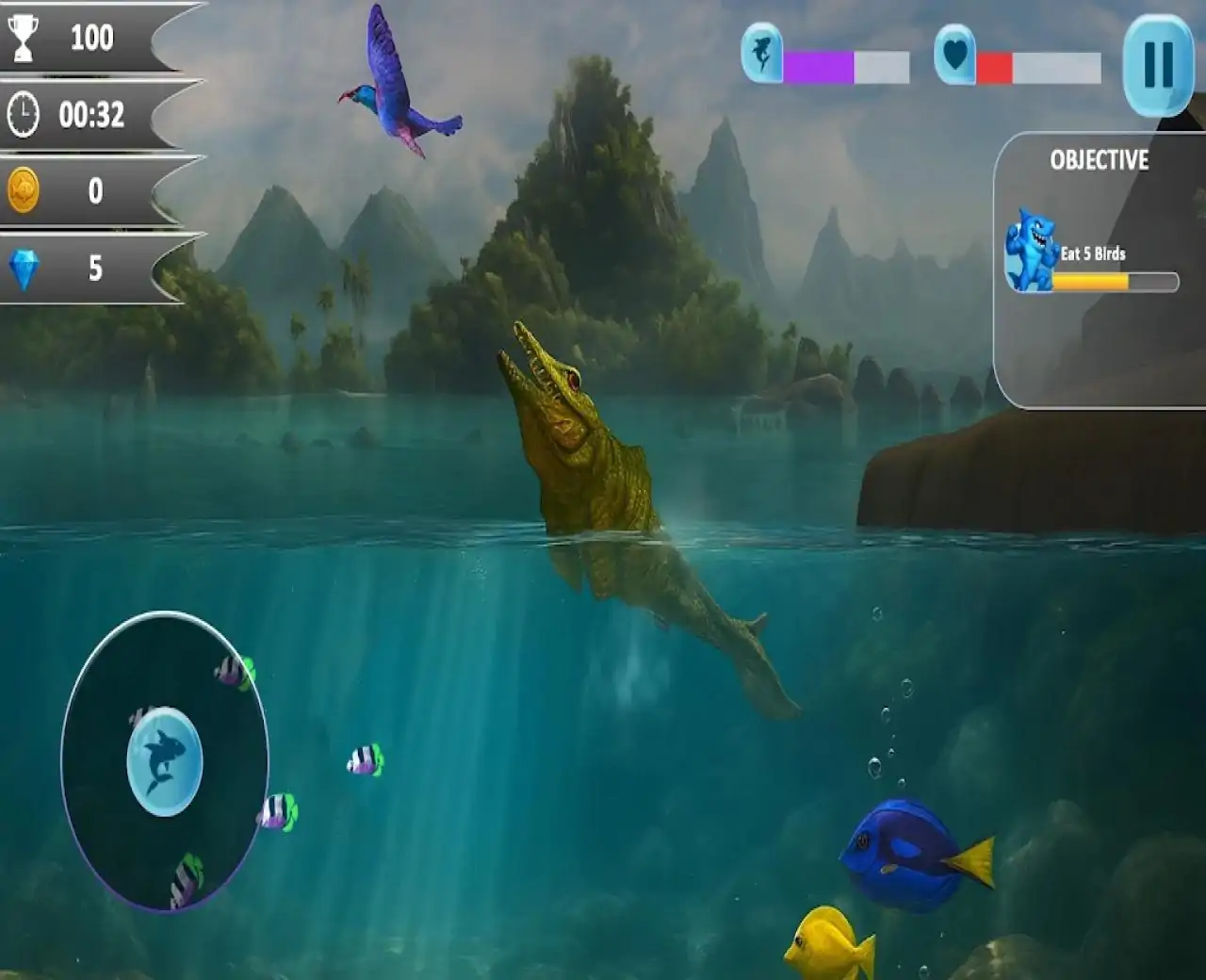 鲨鱼进化：进食与生存