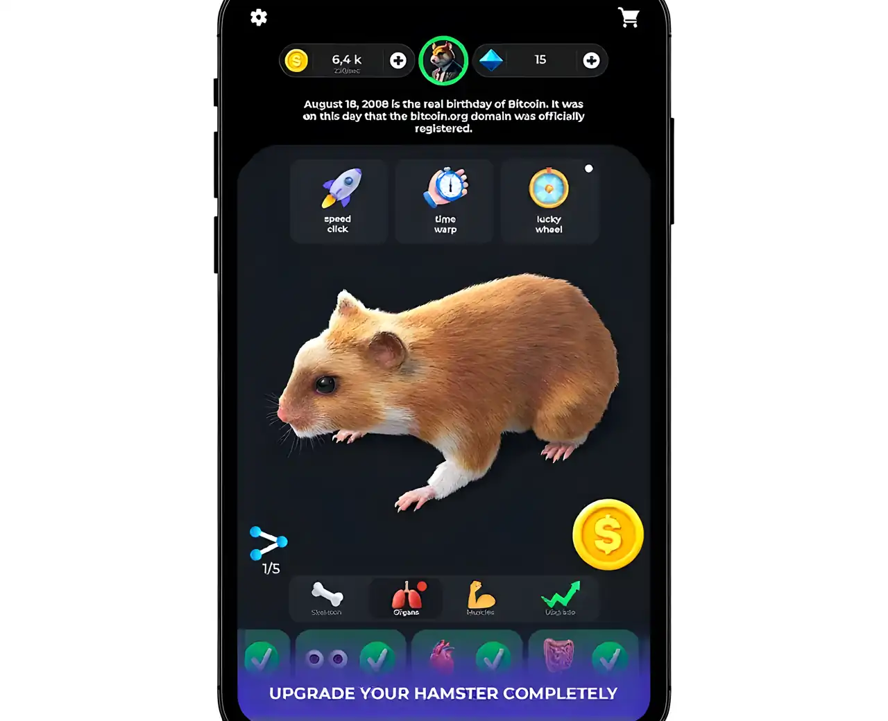 仓鼠空闲逐个单元制作