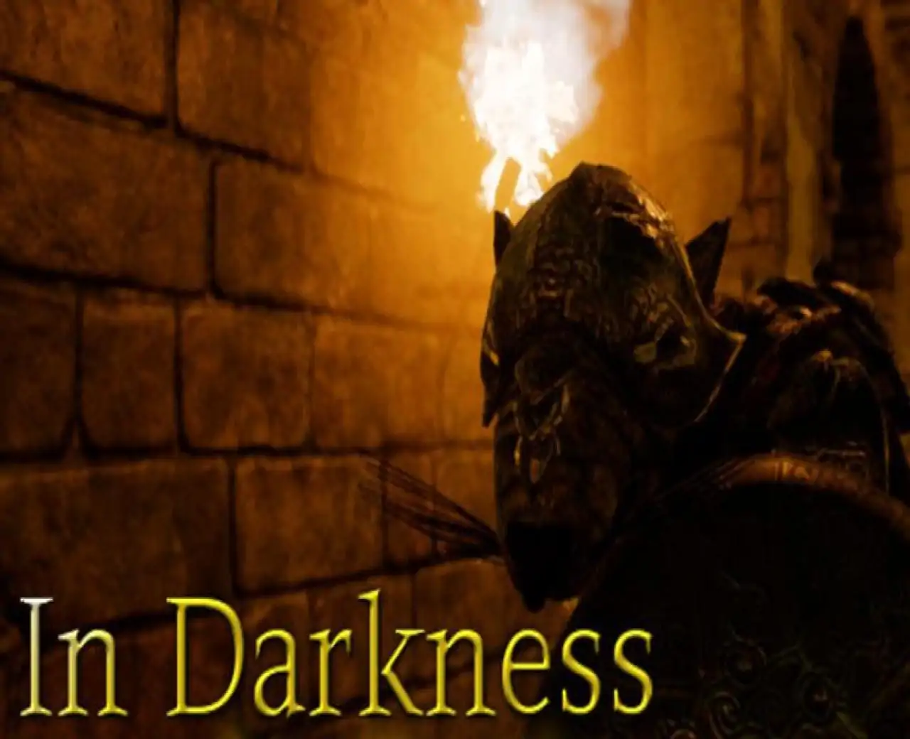 In Darkness